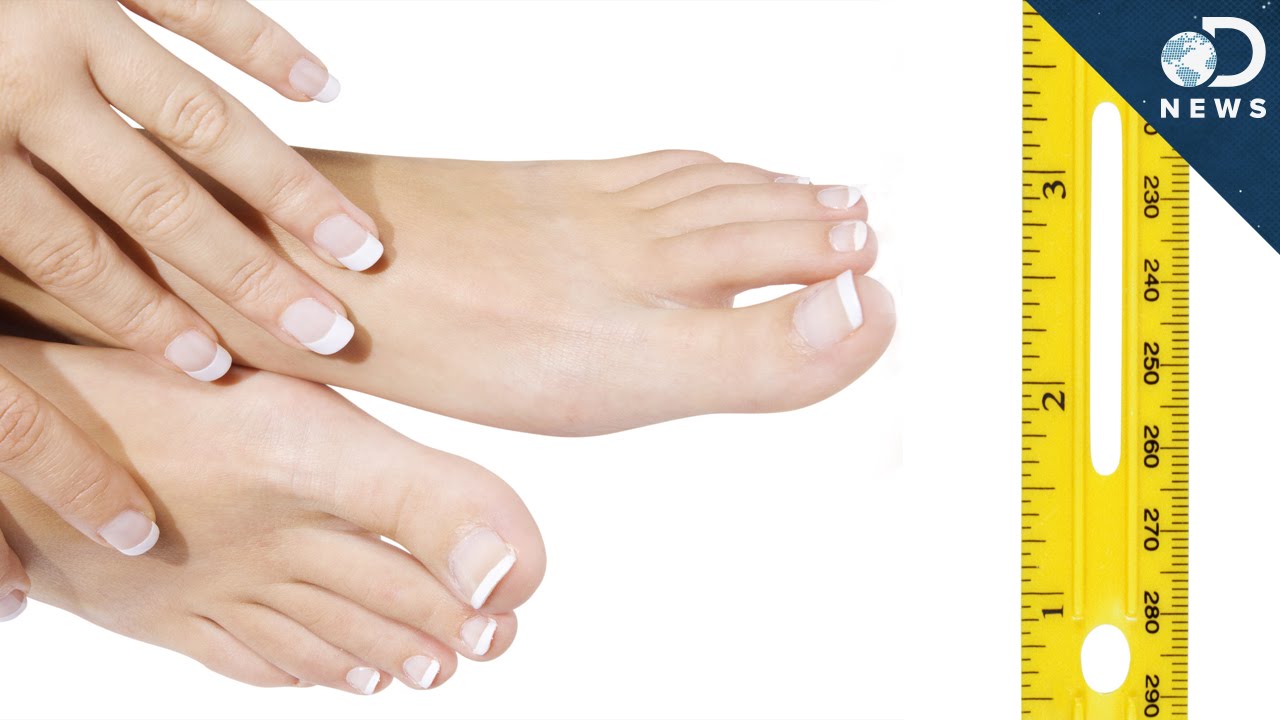 Grow foot. Peoples Fingernails and Toenails according to a recent study. Your Fingernails on your dominant hand grow faster..