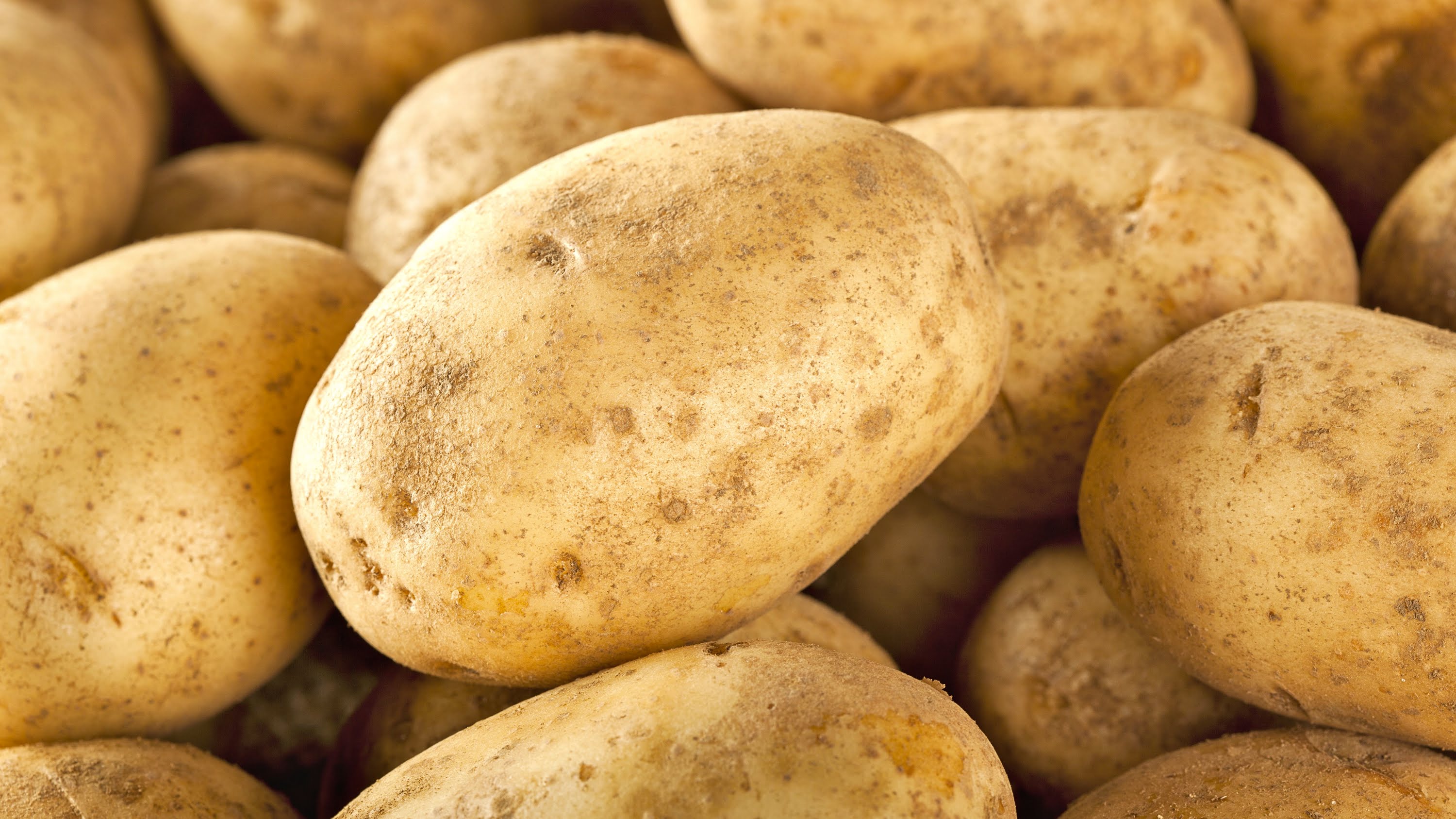 Poisonous potato update. P35303s Potato. Poisonous food. Potato Fruit.