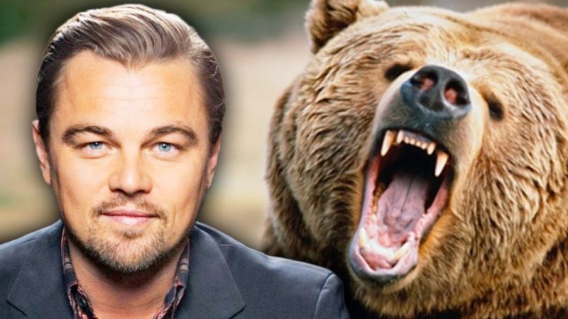 Bear Rape Controversy Exposed… Yes Really – INTHEFAME