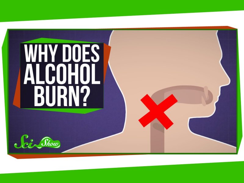 Why Does Alcohol Burn When You Drink It? INTHEFAME