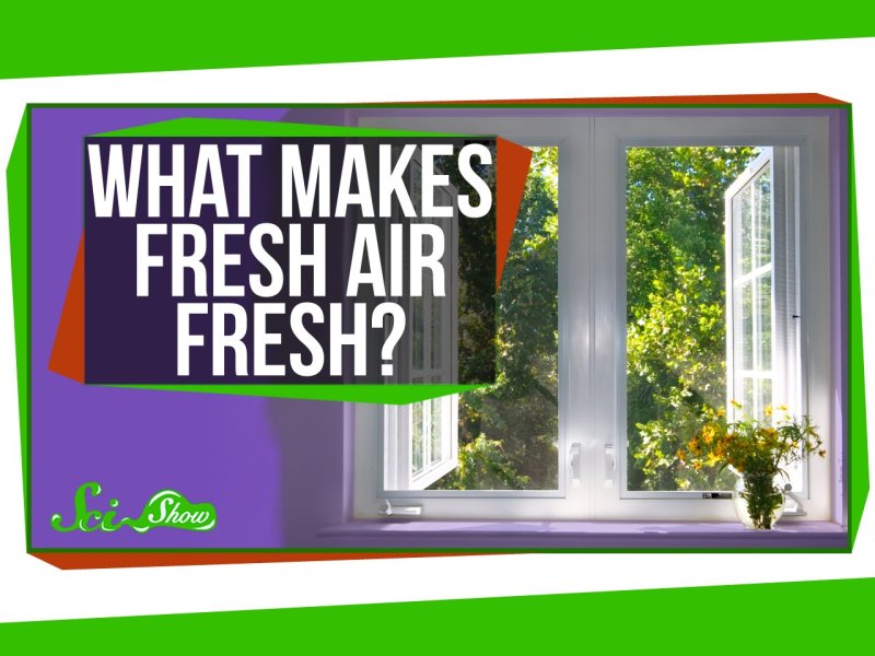 Make fresh. What a Fresh Air!. Fresh Air логотип. Fresh Air 1969. Fresh Air 24/7.