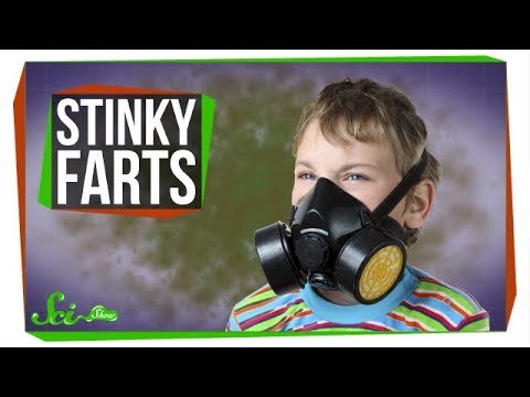 Why Do Some Farts Smell So Bad Inthefame Why Do Some Farts Smell So Bad Inthefame