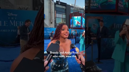 Halle Bailey Hopes People "See Themselves in Me On the Screen" #Shorts