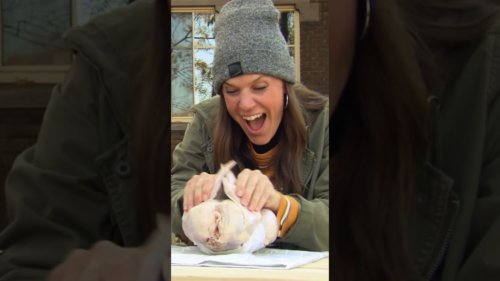 Chicken Baby | Just For Laughs Gags
