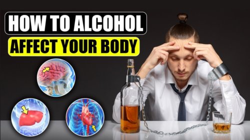 What Alcohol Really Does To Your Body – The Shocking Truth | Howcast