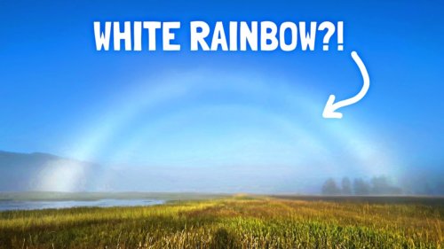 Why Some Rainbows Turn White