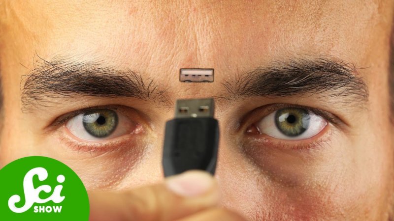 How Much Information Can A Human Head Hold? – INTHEFAME